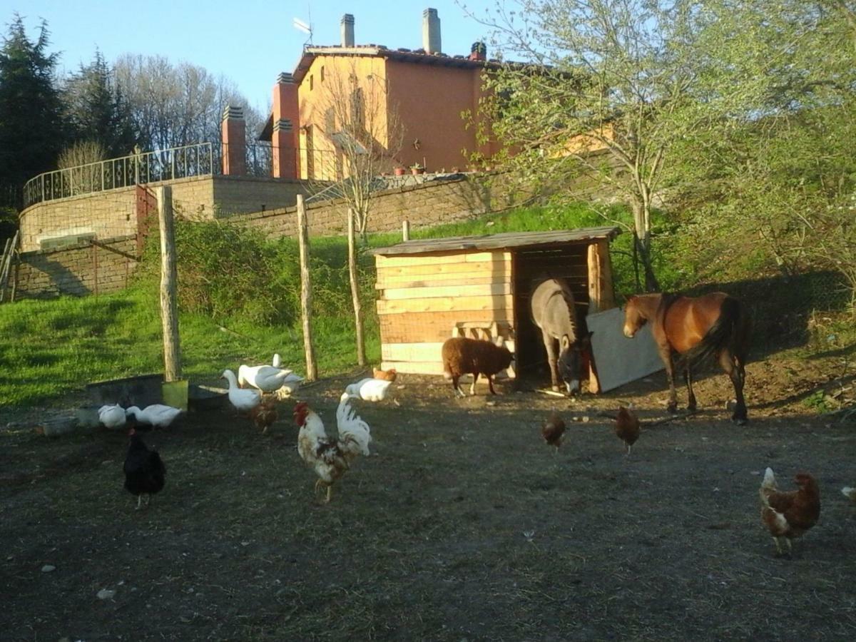 Готель Casa Bindi Triana Екстер'єр фото